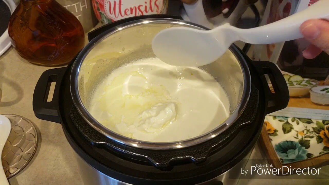 YOGURT GRIEGO EN INSTANT POT