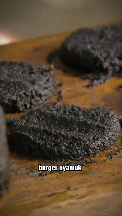Burger Nyamuk Asal Malawi, Cocok Untuk Ide Bisnis ( Fakta ) #shorts