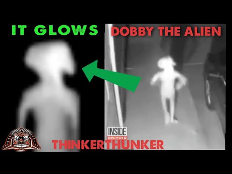 The World Missed Something AMAZING in the "Dobby the Alien" Security Cam Video (ThinkerThunker)