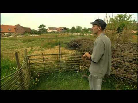 naturgarten-hortus-insectorum-teil2