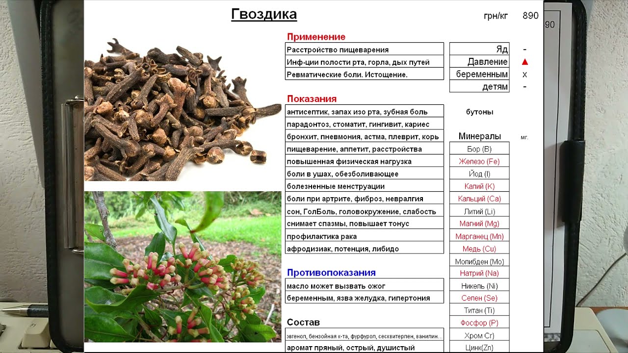 Гвоздика пряность свойства. Чем полезна гвоздика. Гвоздика с медом. Гвоздика польза для организма человека. Для чего полезна гвоздика.