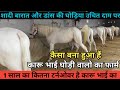 कैसा बना हुआ है कारू भाई घोड़ी वालो का फार्म -Karu Bhai Ghodi vale Ajmer