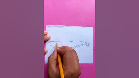 বোয়াল মাছ freshwater shark | original video tutorials #satisfying #creativeart #drawingforbeginners