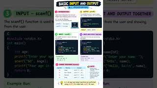 Basic Input & Output in C | C Programming