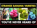 Verschiedene Bananensorten Seltsame Bananensorten Von Denen Sie Noch Nie Gehört Haben