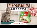 La MEJOR ARENA para GATOS ➡️ marca y tipo ✔️