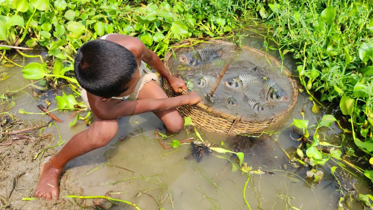 Believe This Fishing - Primitive Fish Trapping System - New Technique Of Catching Country Fish