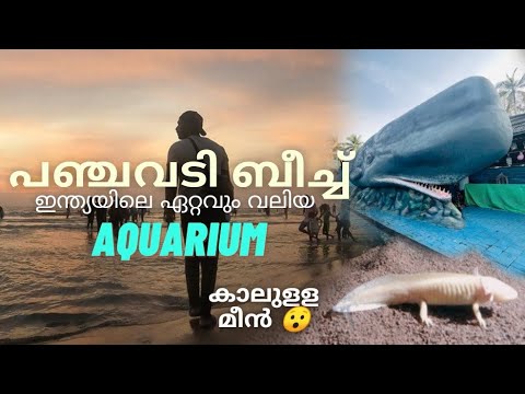 Panjavadi Beach | Chavakkad | Largest Marine Aquarium in India 🇮🇳