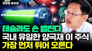 테슬라도 손 벌리는 국내 유일한 양극재 이 주식, 2차전지 중 가장 먼저 튀어 오를 것｜김장열 본부장 2부