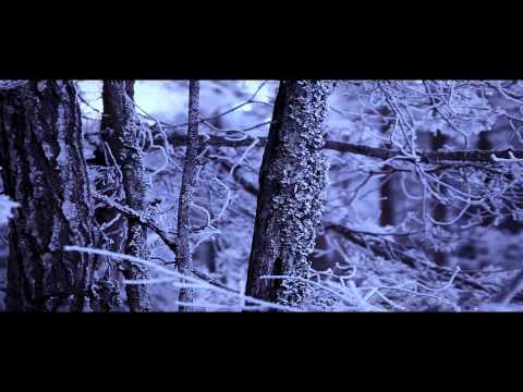 Лермонтов "Мцыри" буктрейлер