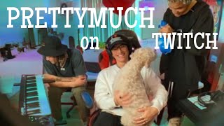 my favorite PRETTYMUCH twitch live stream moments
