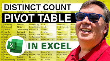 Excel - How to Do a Distinct Count in an Excel Pivot Table - Episode 2015