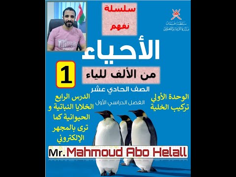 الخلايا النباتيه و الخلاياالحيوانية كما ترى بالمجهر الالكتروني الجزء 1
