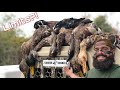 Michigan Duck Hunting Opener 2020!! - Public Land Mallards Cupping in hard!