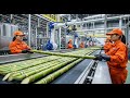Inside a Giant Cane Sugar Factory: How Sugar Is Made