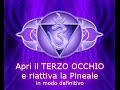 Apertura del TERZO OCCHIO e riattivazione della Ghiandola Pineale - Daniele Penna - Digressione 7