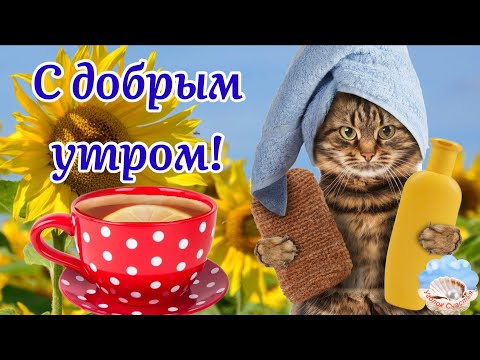 С Добрым Утром! Просыпайся, Улыбайся! Утренний Позитивчик! Музыкальная Открытка Пожелание Для Тебя!