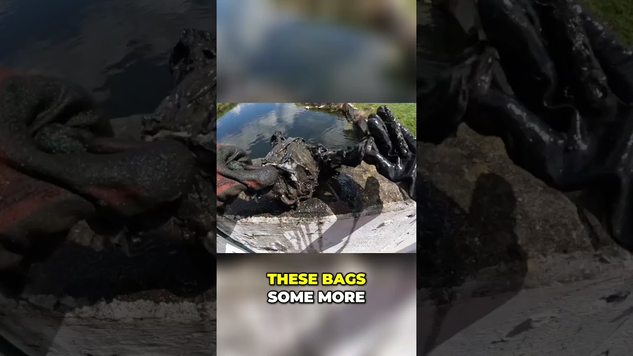 Magnet Fishing Pulls Up RARE Winn-Dixie Artifact! 