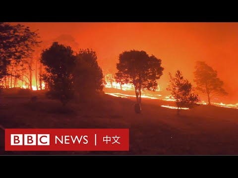 50˚C的人生：澳大利亞熱浪侵襲下的新常態－ BBC News 中文