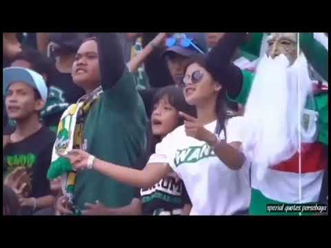Story wa persebaya terbaru💚🐊||Storynya bonek