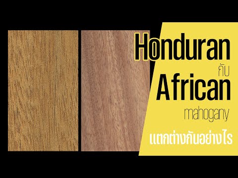 วีดีโอ: อะไรคือความแตกต่างระหว่างมะฮอกกานีแอฟริกันและฮอนดูรัส?