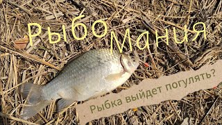 Рыба то выйдет погулять?Рыбалка Хабаровск