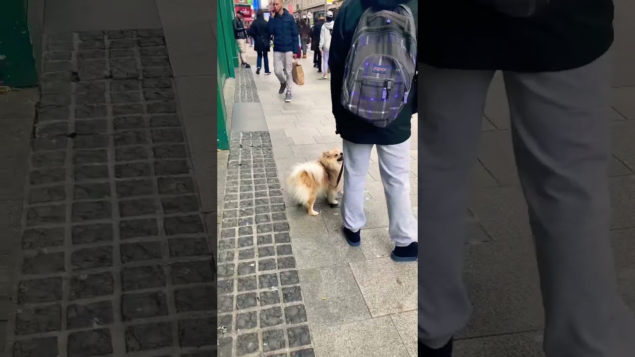 Life In Ireland Dublin Spring Travel 2023 Tiktok Shorts Short People