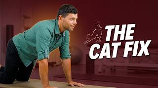 The Most Underrated Back Pain Treatment That No One Talks About (The Cat Method)