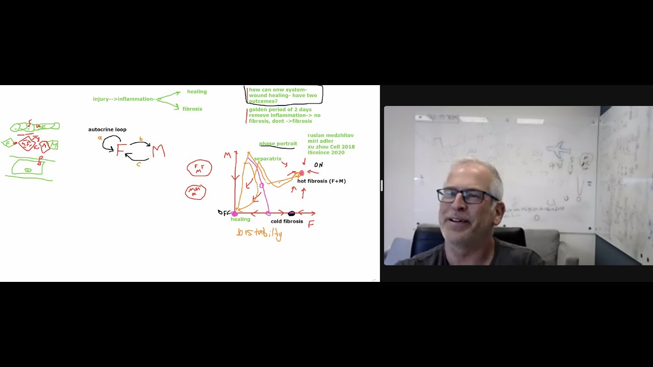 Uri Alon (Weizmann), Simplifying Inflammation and Fibrosis