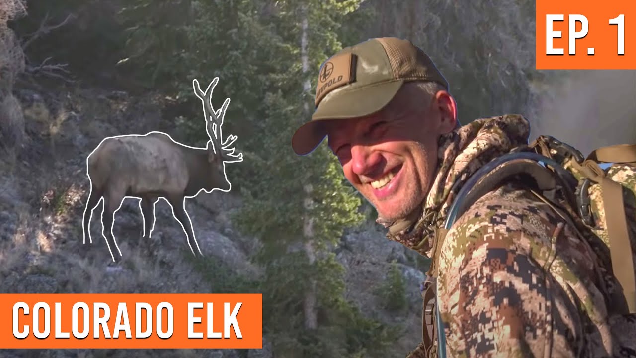 He Came Into Our Calls! Colorado First Rifle Season Elk (EP. 1) YouTube