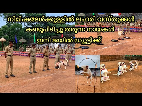 kerala prisons k9 squad * Passing Out Parade & Demonstration 2022