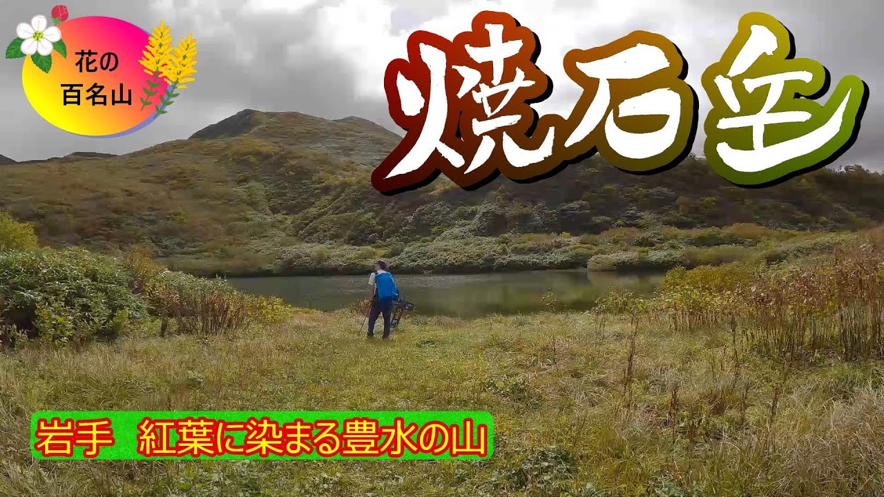 焼石岳　岩手登山　紅葉と花の百名山　秋田県の三合目登山口から登山　つぶ沼キャンプ場宿泊　水が豊かなスポンジのような山でした