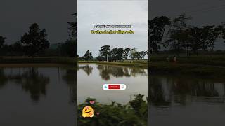আমাৰ গাওঁ খনী ❤️☺️ #shortsfeed #love #villagelife #village #like #support