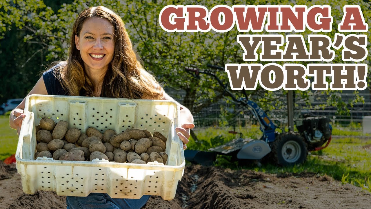 Using Vegetable Grow Bags in the Garden - Melissa K. Norris