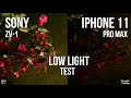 Sony ZV-1  &  iPhone 11 Pro Max