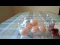 Пластиковые куриные яйца.