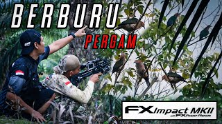 Download Lagu CUKUP 15 MENIT PERGAM NGUMPUL‼️PERGAM PANGGANG TERNYATA ENAK BANGET‼️ BERBURU PERGAM LANJUT MUKBANG MP3