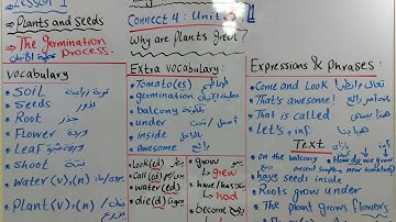 Connect 4, Unit 3 ( Why are Plants Green? ), Lesson 1.