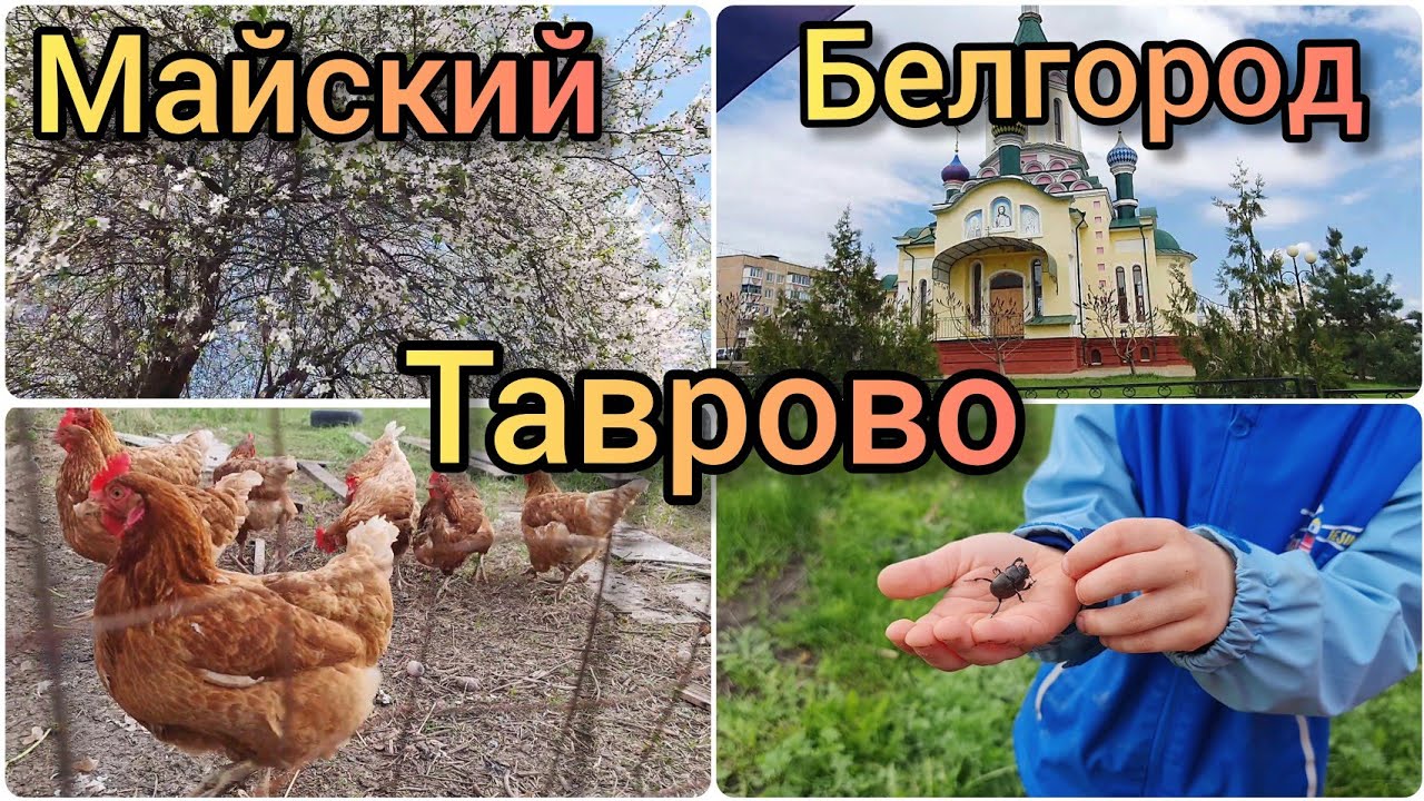 Мирька из германии дзен