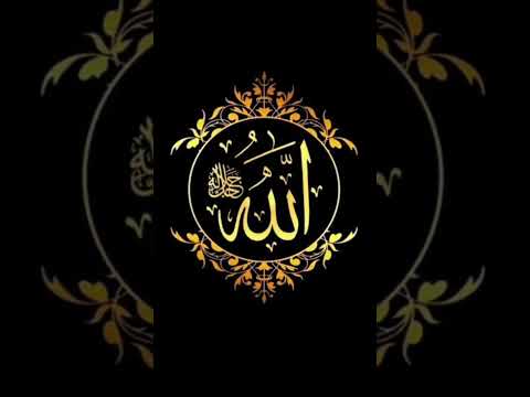 Al Quran ♥️ #quran #qurantranslation #islamicstatus #shorts #viral #trending #allah #youtubeshorts