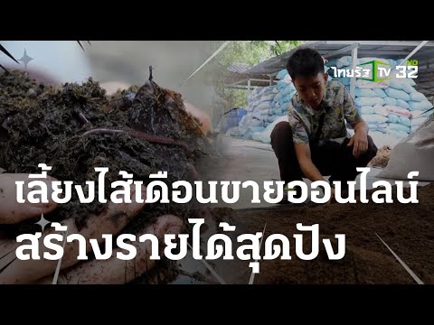 เกษตรทำเงิน : เลี้ยงไส้เดือนขายออนไลน์ สร้างรายได้สุดปัง | 08 ก.ค. 66 | ตะลอนข่าวสุดสัปดาห์