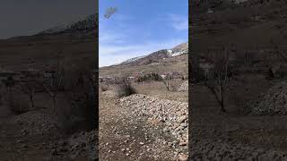 Ecel Saatini Kurmuş