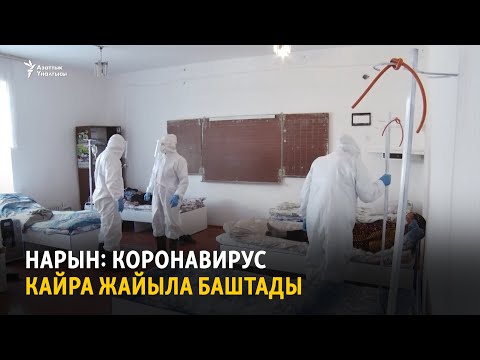 Video: 17 жаштагылар ковидке каршы вакцина алышат?