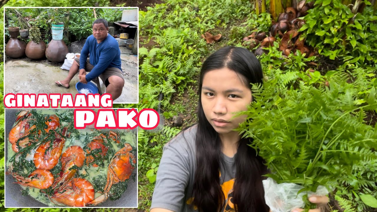 GINATAANG PAKO NA MAY KASAG AT SUGPO | WILD FERN PICKING