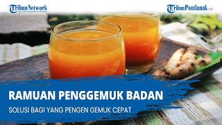 RAMUAN Penggemuk Badan, Solusi Bagi yang Pengen Gemuk Cepat