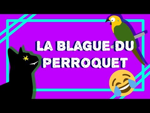 Scarica Gratis Images La Blague Du Jour Le Perroquet Et Le Chat Si Tu Ris Tu actualisé salutations