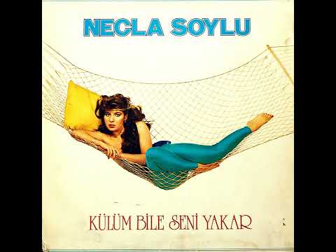 Necla Soylu - Potpori (Original Song Analog Remastered) 1982