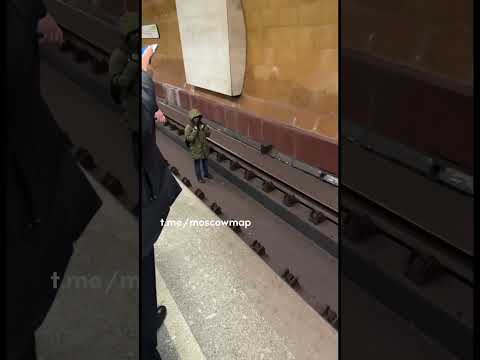 🚇 м Сретенский бульвар. Человек на путях. Спрыгнул сам. Состав остановился во время