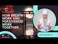 How breathwork and forgiveness work together with guru singh  13 moons