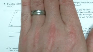 Chapter 5 Test Review